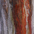 Rock face, Tilberthwaite Quarry near Coniston1 (12x36cms) by textille artist Mary Taylor SOLD