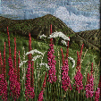 Rosebay willowherb on Black Horse Hill near Sedbergh (20x20cms) by textile artist Mary Taylor SOLD