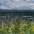 Ragwort in the dunes, Beadnell Bay, Northumberland (14x28cms) by textile artist Mary Taylor SOLD
