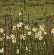 Oxeye daisies near Farfield Mill (12x25 cms) by textile artist Mary Taylor SOLD